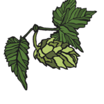 Sideways Hop Graphic - Rookery Brewing of Milwaukee, WI
